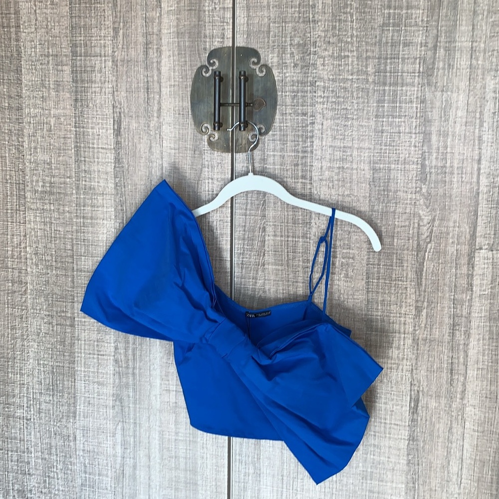 Zara Tied‎ Bow Crop Top